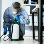 How to Keep Your Workplace Pest-Free with Professional Commercial Pest Control